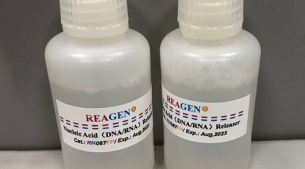 Nucleic Acid（DNA/RNA）Releaser