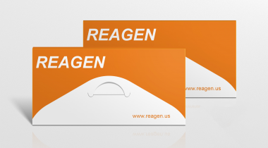 Goat anti-Mouse IgG (H+L)